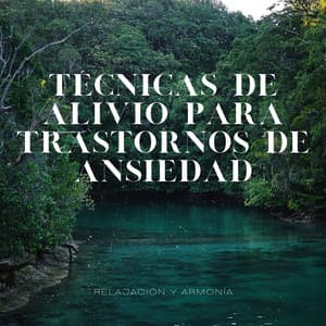 Técnicas de Alivio para Trastornos de Ansiedad - Relajación y Armonía