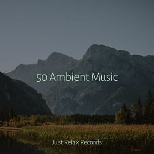 50 Ambient Music - Calming Sounds