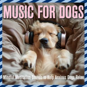 Music for Dogs: Mindful Meditation Sounds to Help Anxious Dogs Relax - Relaxmydog