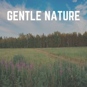 Gentle Nature - Sounds of the Forest