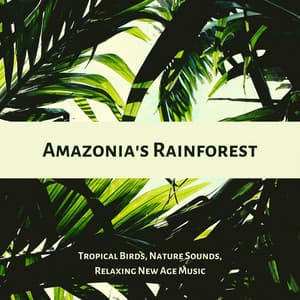 Amazonia's Rainforest: Tropical Birds, Nature Sounds, Relaxing New Age Music - Autogenic Training Music Rec.