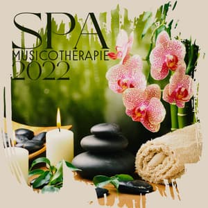 Spa musicothérapie 2022: Musique zen relaxante pour massage, Le bien-être, Soulagement du stress et humeur apaisante - Spa Musique Collection