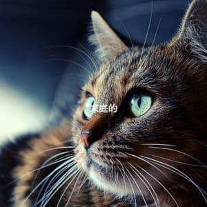 家庭的 - Smooth Jazz Deluxe