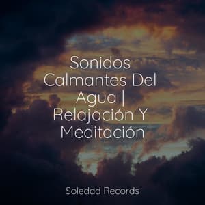 Sonidos Calmantes Del Agua | Relajación Y Meditación - Dulces Sueños