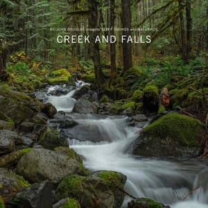 Creek and Falls - Dr. John Douglas