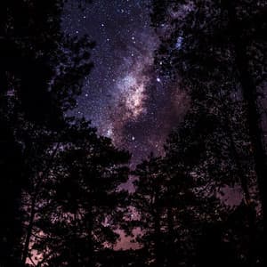 Loopable Sounds for Spa & Relaxation - Sounds of Nature Noise