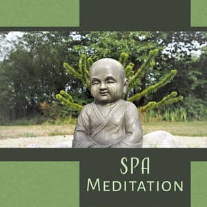 SPA Meditation – Soothing & Relaxing Music for Yoga Relaxation Session, Massage & Reiki Healing, Peaceful Sounds - Chilling Spa Universe