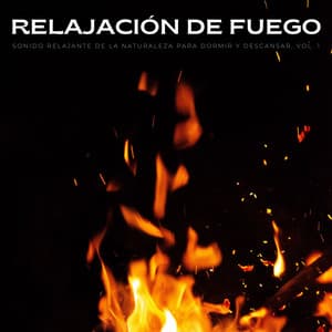 Relajación De Fuego: Sonido Relajante De La Naturaleza Para Dormir Y Descansar, Vol. 1 - Sonidos de Fuego para Dormir