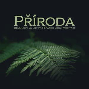 Příroda - Relaxační Zvuky pro Spánek, Jógu, Meditaci - Relaxační Zvuky