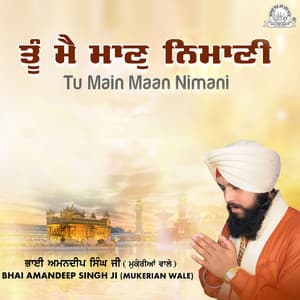 Tu Main Maan Nimani - Bhai Amandeep Singh Ji