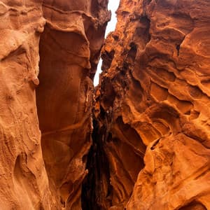 1 Ethos: Absolute Perspective - Nature Sound Collection