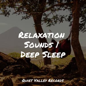 Relaxation Sounds | Deep Sleep - Sound Sleeping