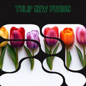 Tulip New Fusion - Floral Health - HerBaLance