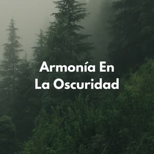Armonía En La Oscuridad - Sonidos De La Noche