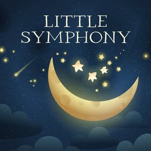 Little Symphony: Beautiful & Relaxing Piano Lullabies with Soothing Animals Sounds - Baby Songs Academy