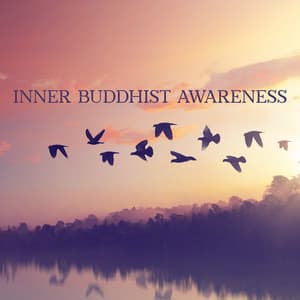 Inner Buddhist Awareness - Elijah Ages