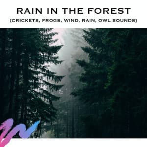 Rain in the Forest - Loopable Radiance