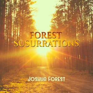 Forest Susurrations - Pebbles on the Beach - Piano and Birds Singing - Rain Sounds HD - Surf Beach Campfire - Joshua Forest