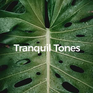 Tranquil Tones - Drip-Drop