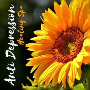 Anti Depression Healing Spa - Music Medicine, Personal Calm Recovery, Perfect Mental Therapy, Anxiety Reduction - Cure Depression Music Academy