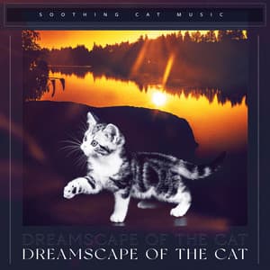 Dreamscape of the Cat - Soothing Cat Music
