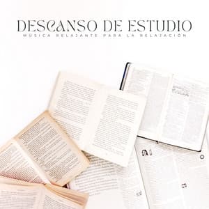 Descanso De Estudio: Música Relajante Para La Relajación - Café Música Ambiente