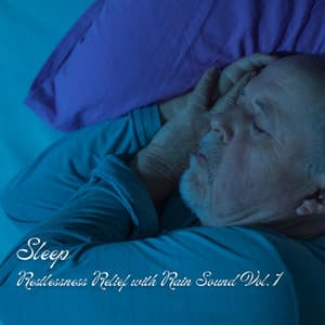 Sleep: Restlessness Relief with Rain Sound Vol. 1 - Rain Hive