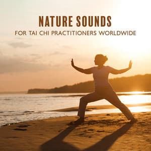 Nature Sounds for Tai Chi Practitioners Worldwide: Conditioning and Balance, Good Physical Level, Zen Harmony - Ancient Asian Oasis