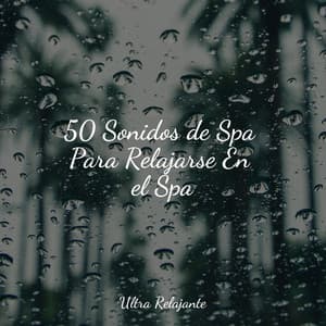 50 Sonidos de Spa Para Relajarse En el Spa - Música para Dormir Con Relajantes Sonidos de la Naturaleza