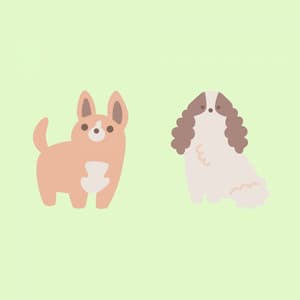 Jazz Violin - Ambiance for Dogs and Dreams - Sleepy Dogs