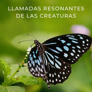 Llamadas Resonantes De Las Creaturas - Mago de la melodía animal