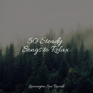 50 Steady Songs to Relax - Mother Nature FX