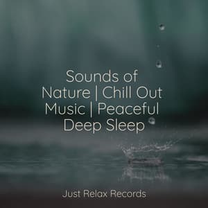Sounds of Nature | Chill Out Music | Peaceful Deep Sleep - Easy Sleep Music