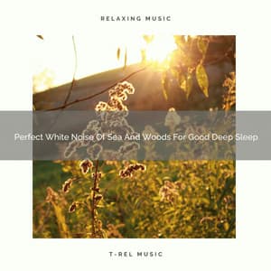 Perfect White Noise Of Sea And Woods For Good Deep Sleep - Noise Makers