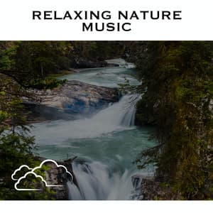 Relaxing Nature Music - White Noise Radiance