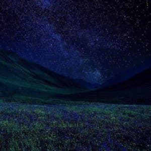 Final Fantasy Iron Tributes - Iron Reich