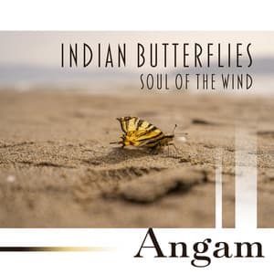 Indian Butterflies: Soul of the Wind, Ancient India, Madhyalaya, Bringing Abundance to the Soul, Shiva Sutra Mystical Indian Healing - Angam