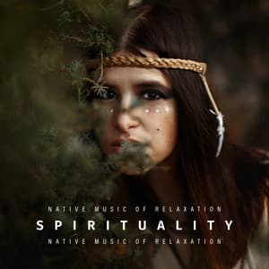 Spirituality: Native Music of Relaxation, Meditation and Deep Energy Healing - Harmony Nature Sounds Academy