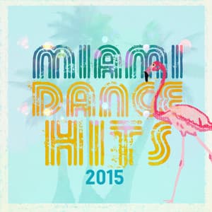 Miami Dance Hits 2015 - Dance Hits 2014 & Dance Hits 2015
