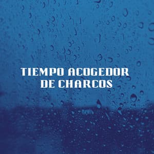 Tiempo Acogedor De Charcos - Registradores de lluvia