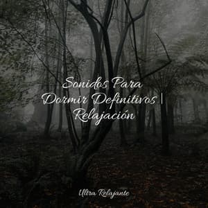 Sonidos Para Dormir Definitivos | Relajación - Dormir e Meditar