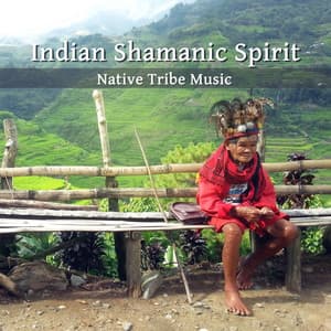 Indian Shamanic Spirit - Native Aboriginal Guru