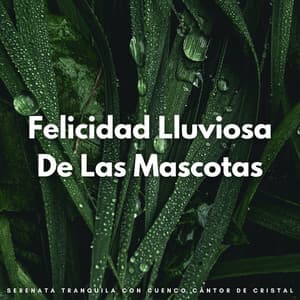 Felicidad Lluviosa De Las Mascotas: Serenata Tranquila Con Cuenco Cantor De Cristal - Sonidos de paz