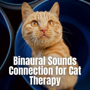 Binaural Sounds Connection for Cat Therapy - Some Music