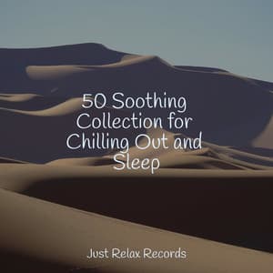 50 Soothing Collection for Chilling Out and Sleep - Ambient