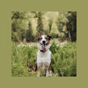 スリーピー・パップ・チューン - Musica Rilassante & Benessere