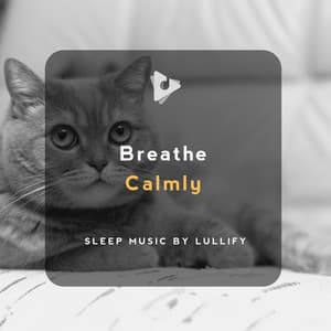 Breathe Calmly - Sleep Music by Lullify