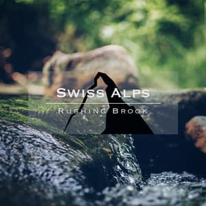 Swiss Alps - Rushing Brook - Noise Academy