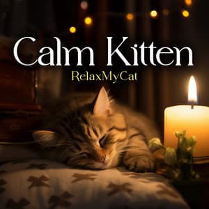 Calm Kitten - RelaxMyCat