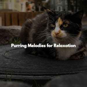 Purring Melodies for Relaxation - Jazz for Tea and Coffee